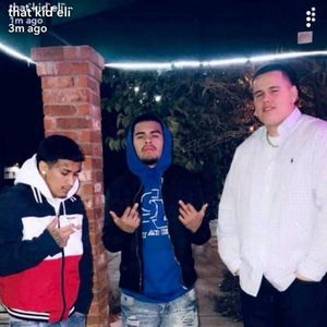 Meet your Posher, Pedro